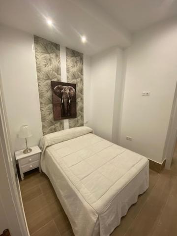 Apartamento 1d-bonito Y Acogedor 2 Pleno Centro